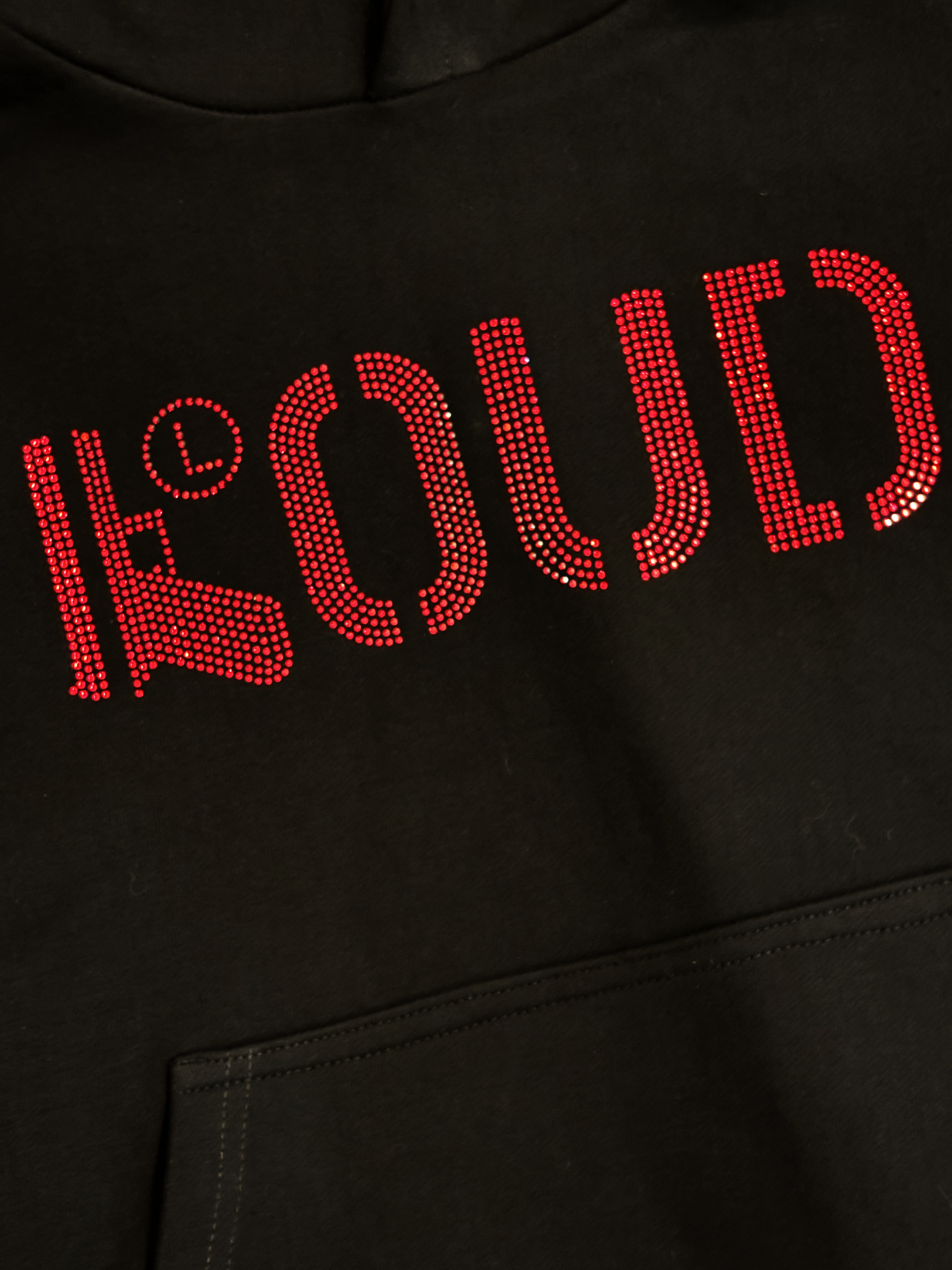 Poleron LOUD Piedras - 520 GSM Heavy Weight 100% Algodón